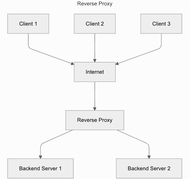 How a reverse proxy works